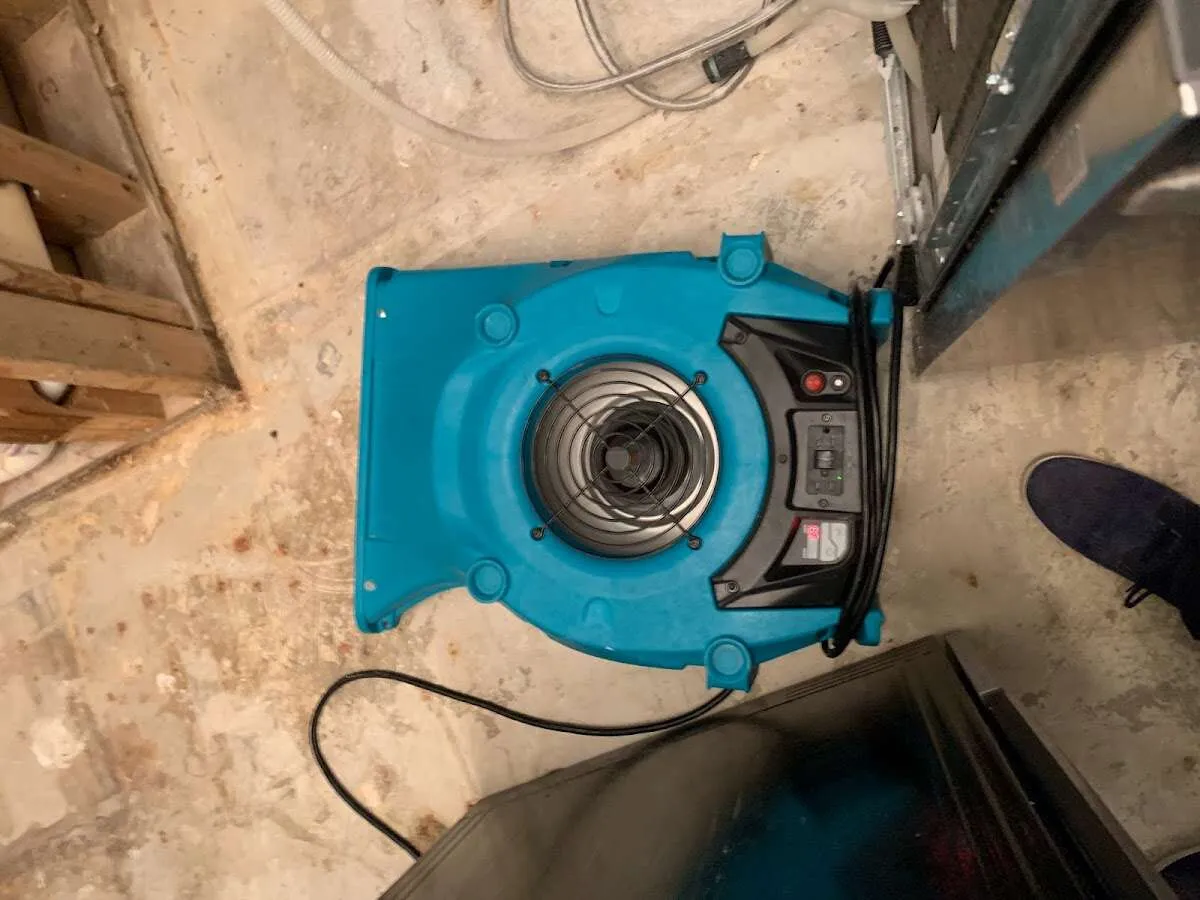 Air mover drying equipment for Mold Remediation & Removal in Fountainebleau