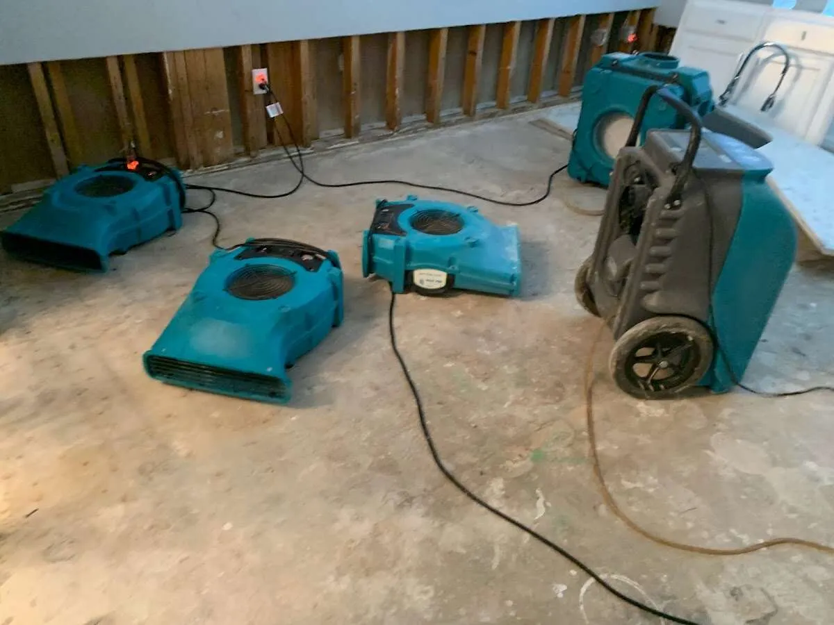 Drying & Dehumidification in Fountainebleau, FL